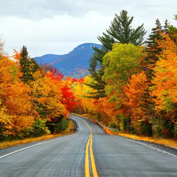 An empty road in the White Mountains of New Hampshire during autumn.
841380450
White Mountain National Forest, Road Trip, Travel, Road, Highway, Multi Colored, Conway - New Hampshire, Scenics - Nature, Street, Falling, Beauty In Nature, Tree, Photography, Landscape - Scenery, Mountain, Country Road, Vacations, New Hampshire, Mountain Pass, AutotagModeratelyAuthentic - Do Not Delete, Travel Destinations, Horizontal, Vibrant Color, Arts Culture and Entertainment, Colors, Lush Foliage, New England - USA, Mountain Range, White Mountains - New Hampshire, Autumn, Autumn Fashion Collection, Wilderness, USA, Season, Appalachia, Journey, Leaf, Forest, Mountain Peak, Four Seasons