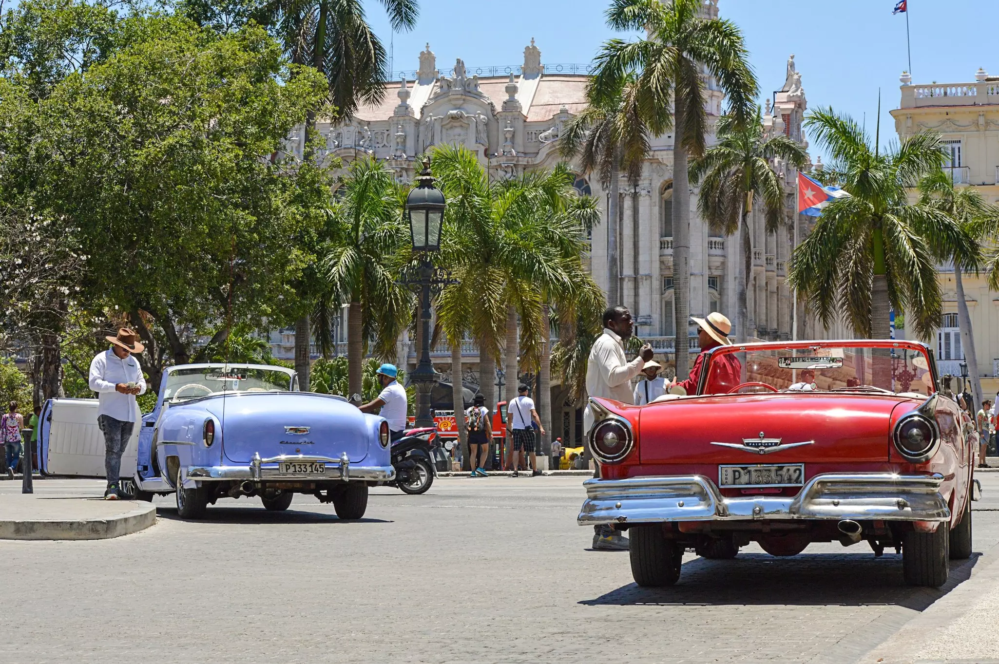 Classic convertible cars in red and blue are parked at the edge of a palm tree-lined city square.