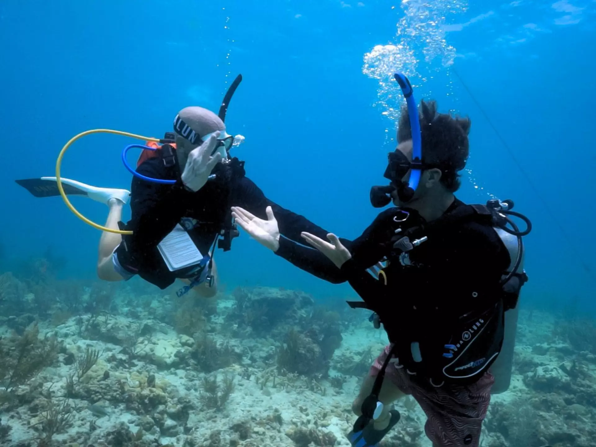 Nyle DiMarco and Thomas Koch scuba diving with Aqua Hands in Clearwater, Florida. Courtesy of Rose Moore 
