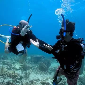 Nyle DiMarco and Thomas Koch scuba diving with Aqua Hands in Clearwater, Florida. Courtesy of Rose Moore 