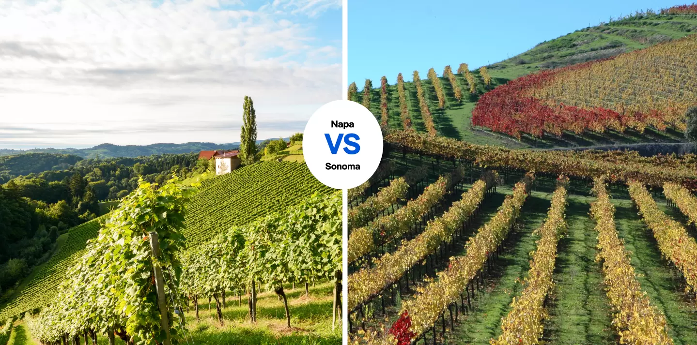 Do you prefer Napa’s deluxe, award-winning wines? Or Sonoma’s more rustic vibe? PIXEL to the PEOPLE/Shutterstock; Shutterstock