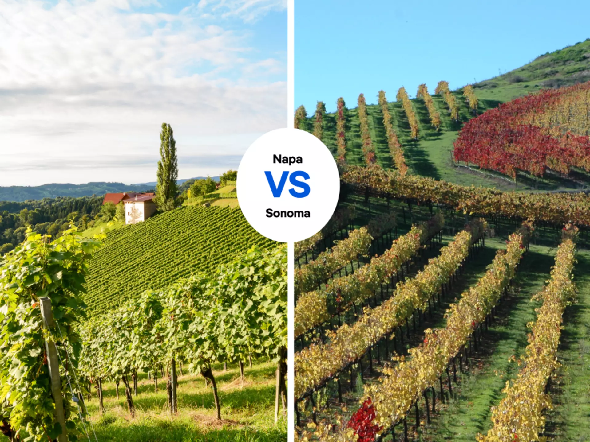 Do you prefer Napa’s deluxe, award-winning wines? Or Sonoma’s more rustic vibe? PIXEL to the PEOPLE/Shutterstock; Shutterstock