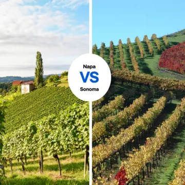 Do you prefer Napa’s deluxe, award-winning wines? Or Sonoma’s more rustic vibe? PIXEL to the PEOPLE/Shutterstock; Shutterstock