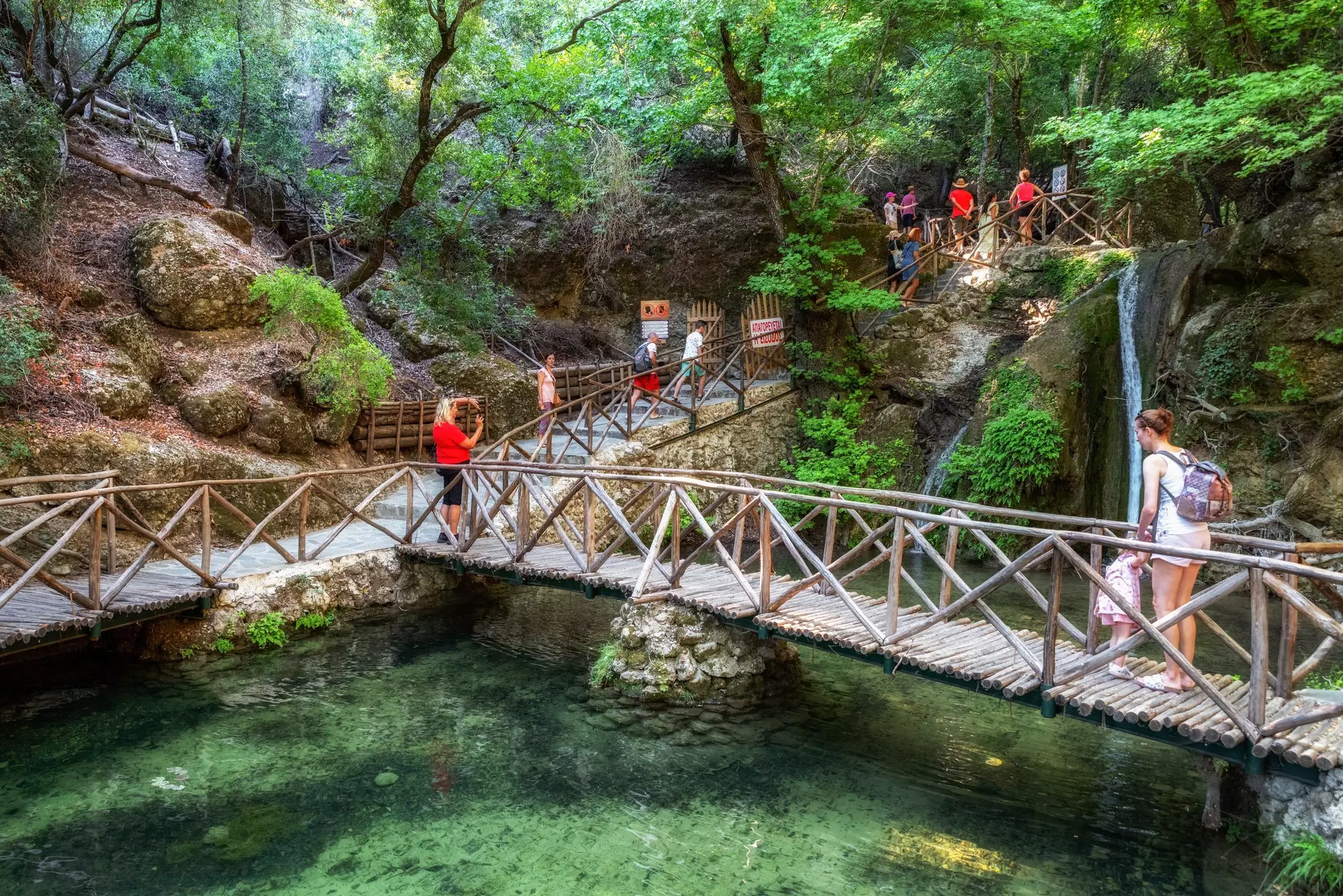 Tourists walk along a wooden plank in a park with trees and green pools of water