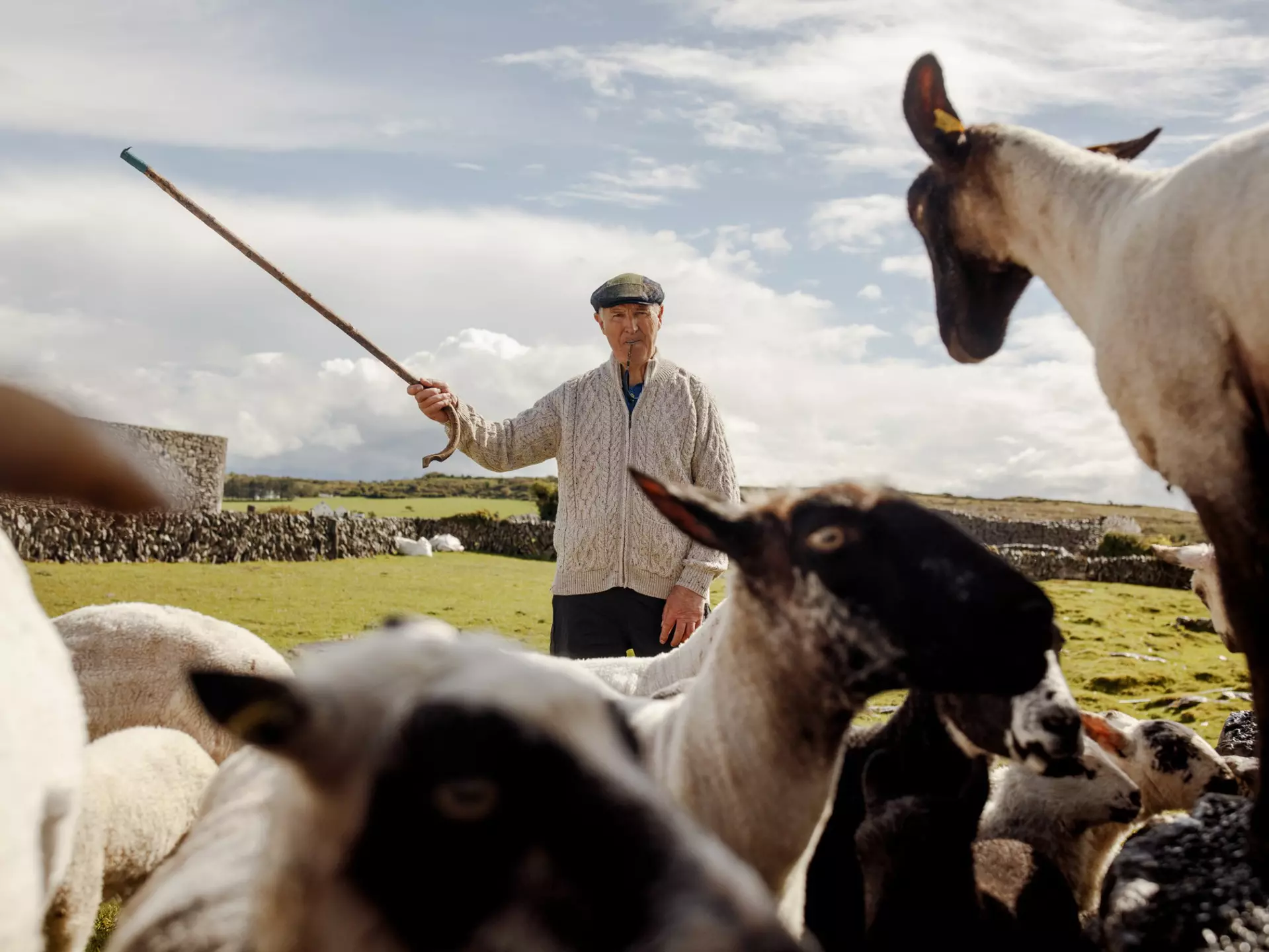 Sheepdog farmer John Davoren at Caherconnell Stone Fort, County Clare, Ireland. Robert Ormerod for Lonely Planet