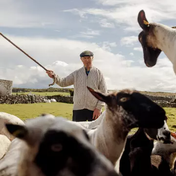Sheepdog farmer John Davoren at Caherconnell Stone Fort, County Clare, Ireland. Robert Ormerod for Lonely Planet
