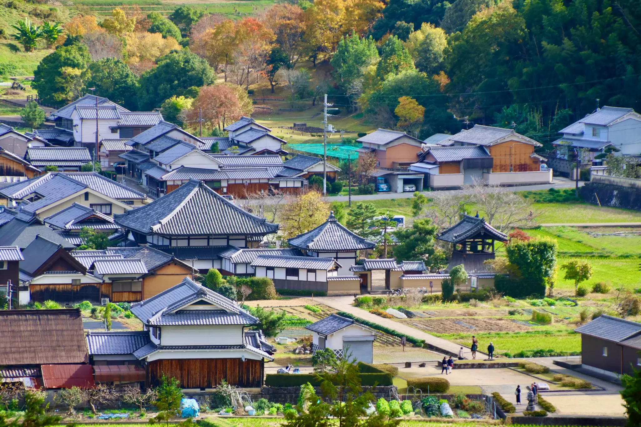 A view from Amakashi Hill over the Asuka-dera temple, with traditional houses and rice fields, Japan.