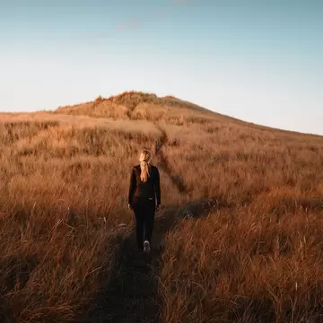 A woman exploring a path in the orange grass sand dunes with colorful and beautiful sunset light. National Park Thy in Denmark, North Sea.