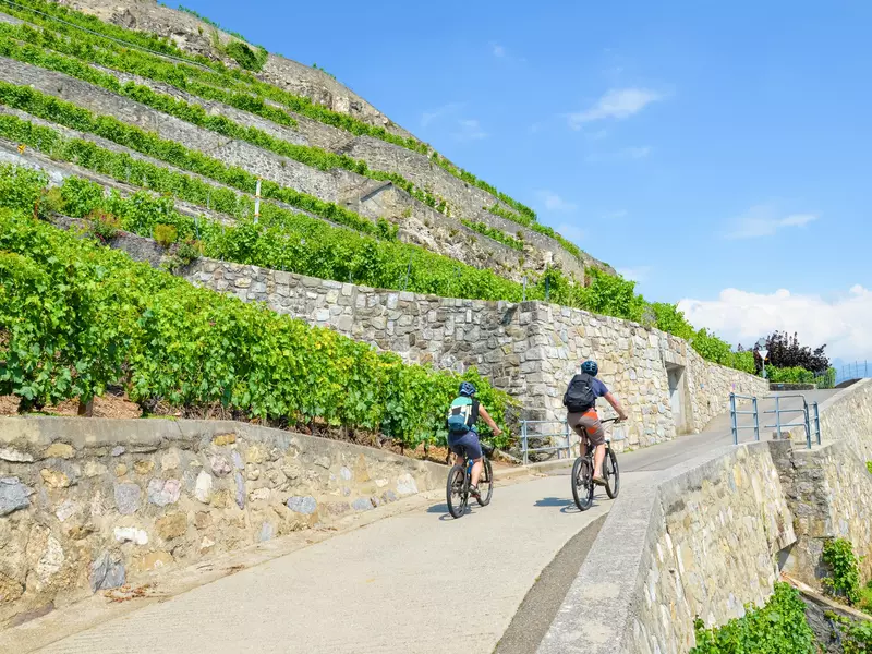 Couple of cyclists on path along beautiful terraced vineyards on the slopes adjacent to Geneva Lake, Switzerland.