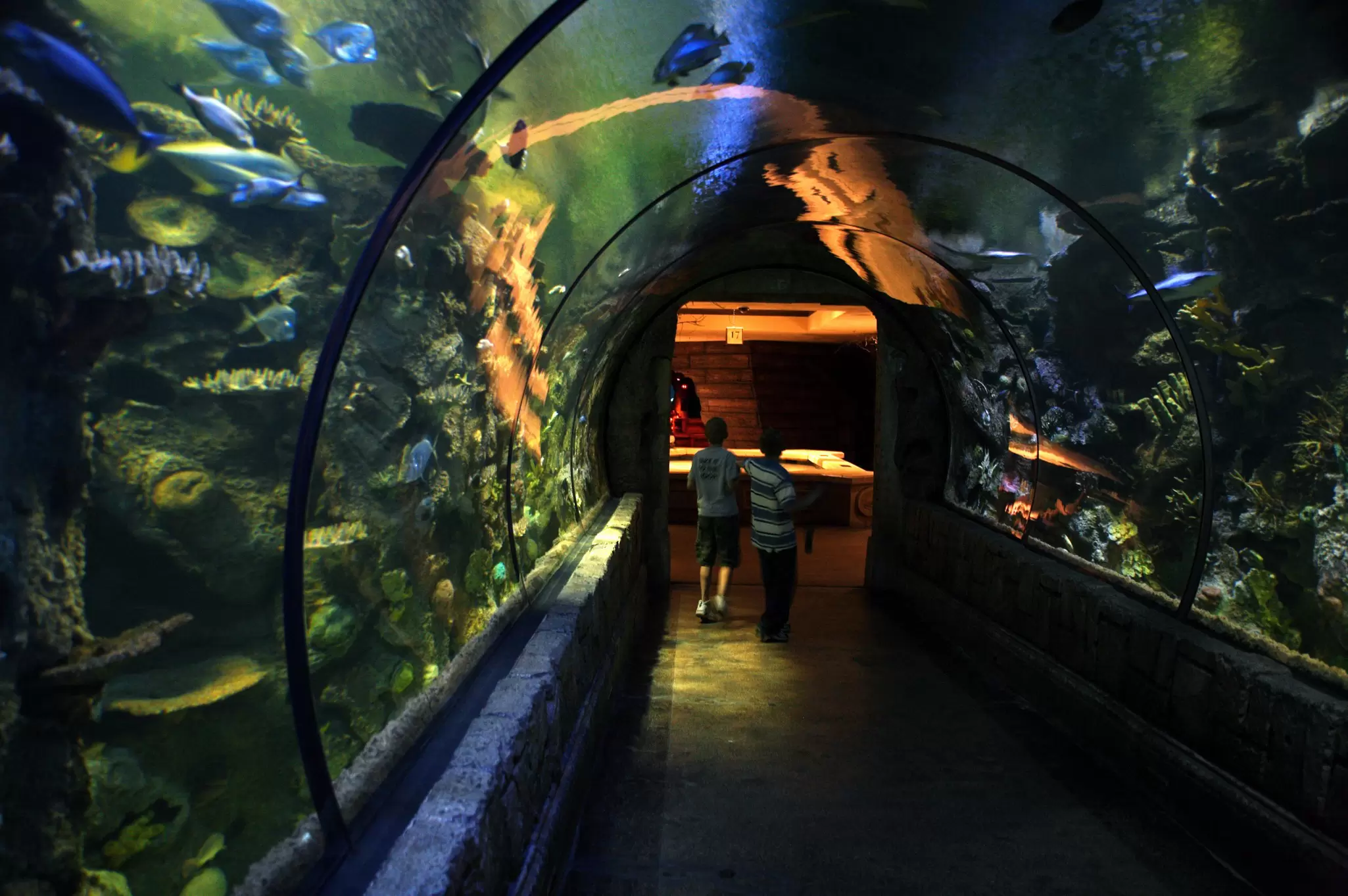 Visitors look at fish in a glass tunnel at Shark Reef Aquarium in Mandalay Bay, Las Vegas.