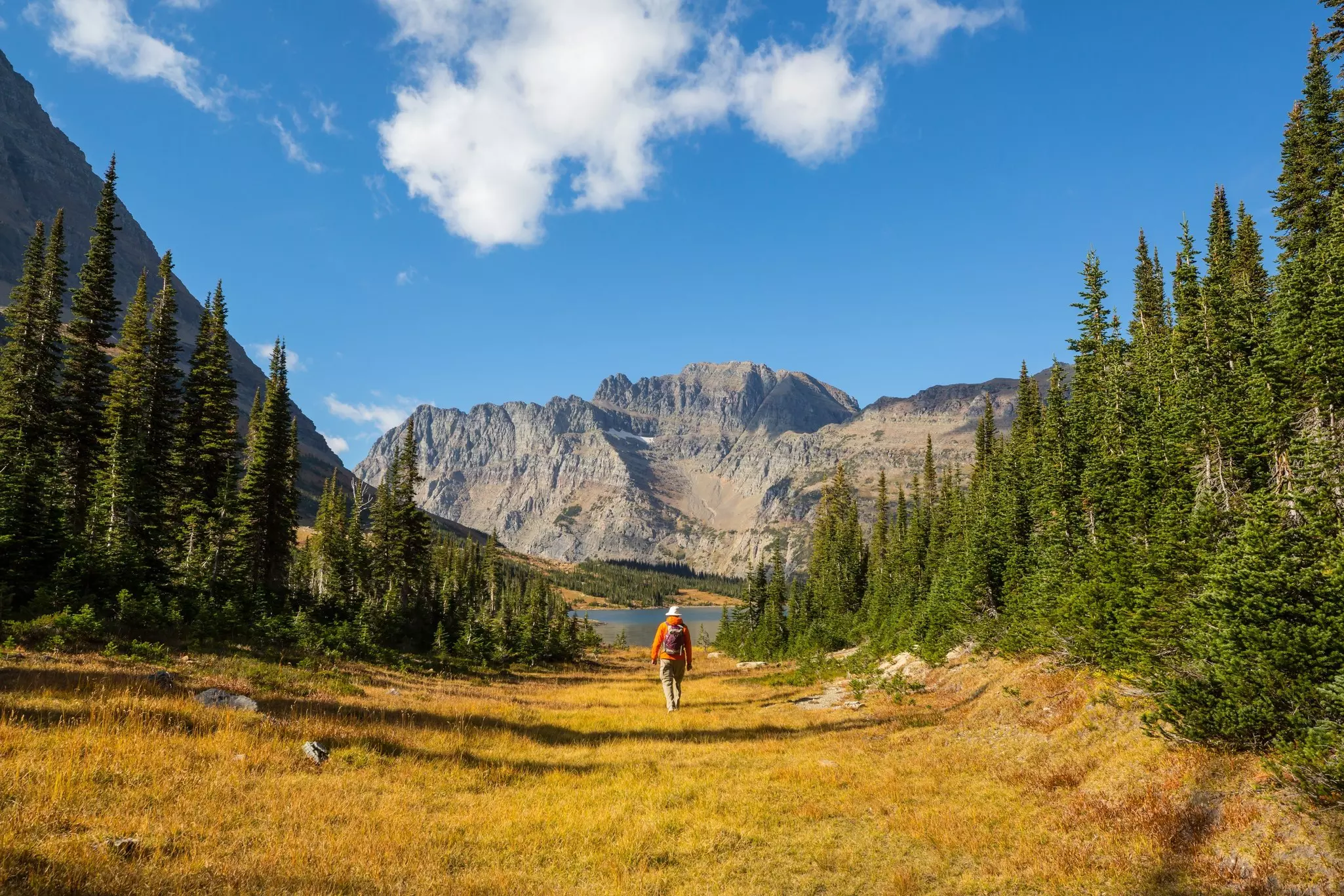 Glacier National Park. Galyna Andrushko/Shutterstock
