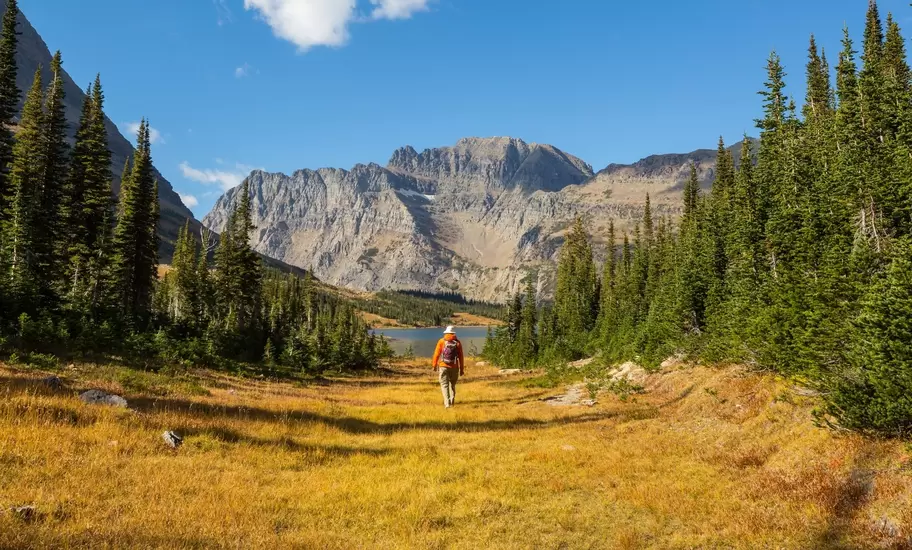 One adult walks with a backpack in a field with a beautiful mountain backdrop in Glacier National Park.