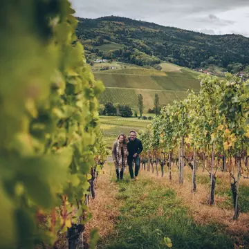 A couple is walking through a vineyard together as part of their hike in Frieburg