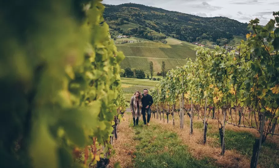 A couple walking through a vineyard together as part of their hike in Frieburg, Germany.