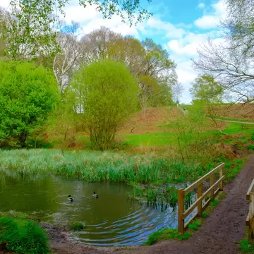 Wooden bridge at Ravine pond in spring, Wimbledon Common, London, England UK; Shutterstock ID 643257538;