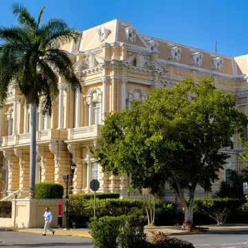 An ornate cream-colored mansion behind palm trees on a tree-lined avenue.