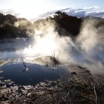 Hot spring in Kuirau Park