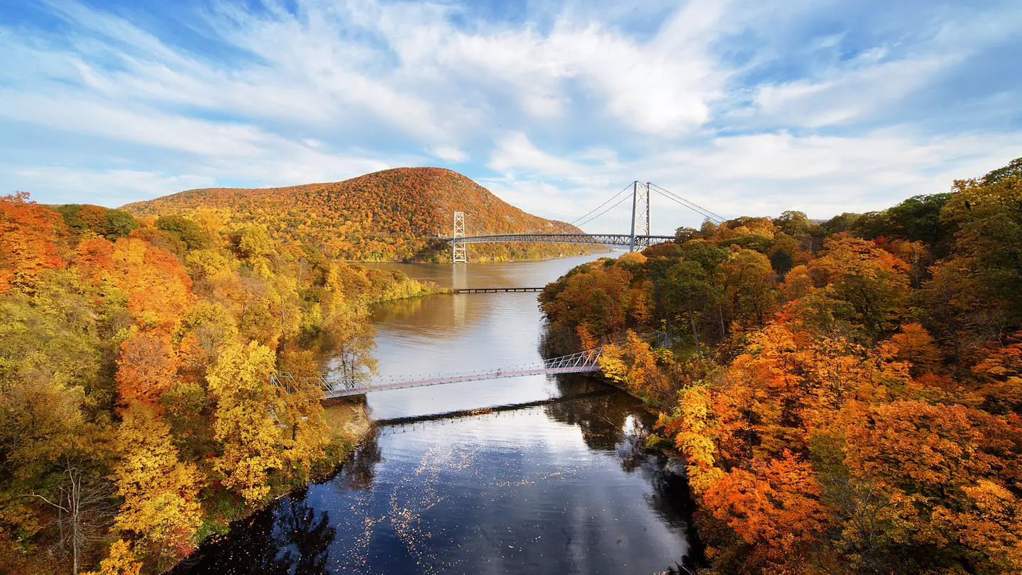 A river winds through lush fall foliage with a bridge in the distance