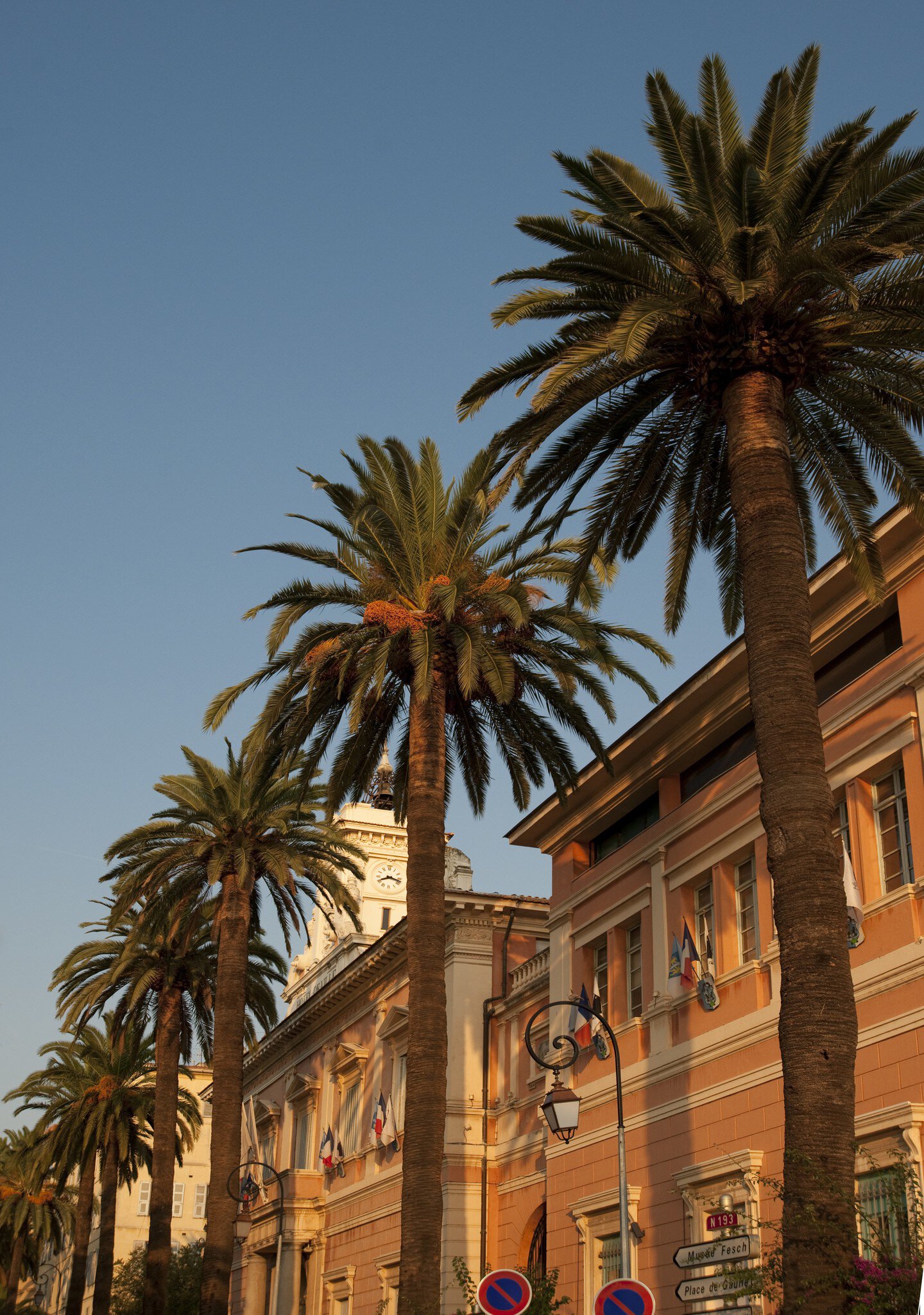 Palm tree lined street.