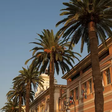 Palm tree lined street.