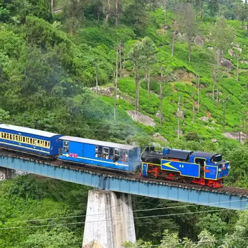 A blue steam train with blue carriages crosses a bridge over a green, tree-covered hillside in the Nilgiri hills of India.
