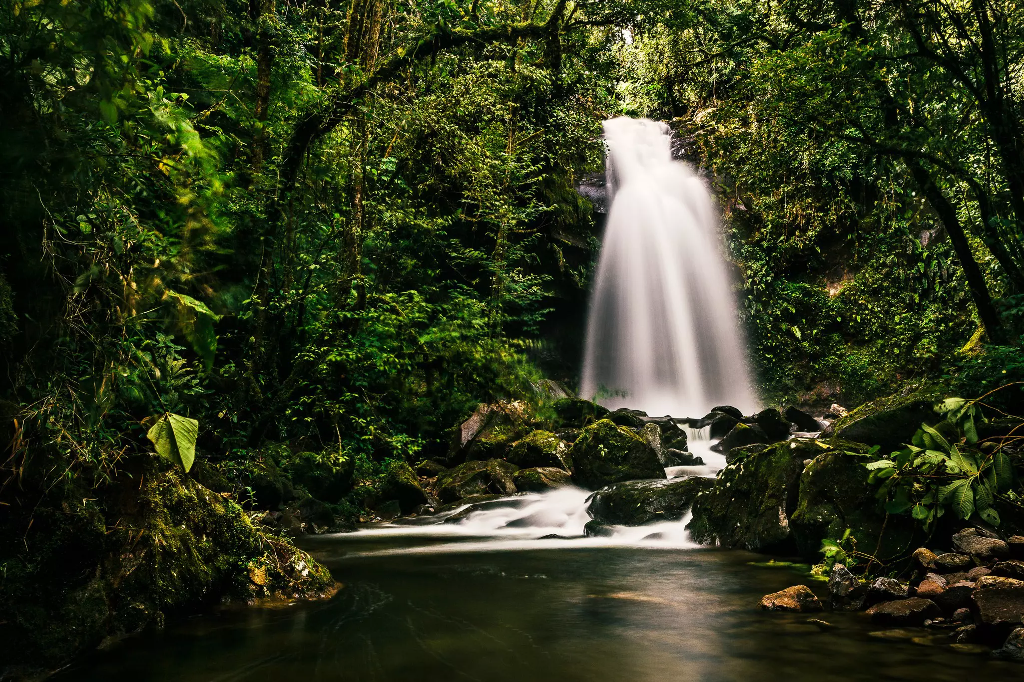 A waterfall in dense jungle cascades into a pool