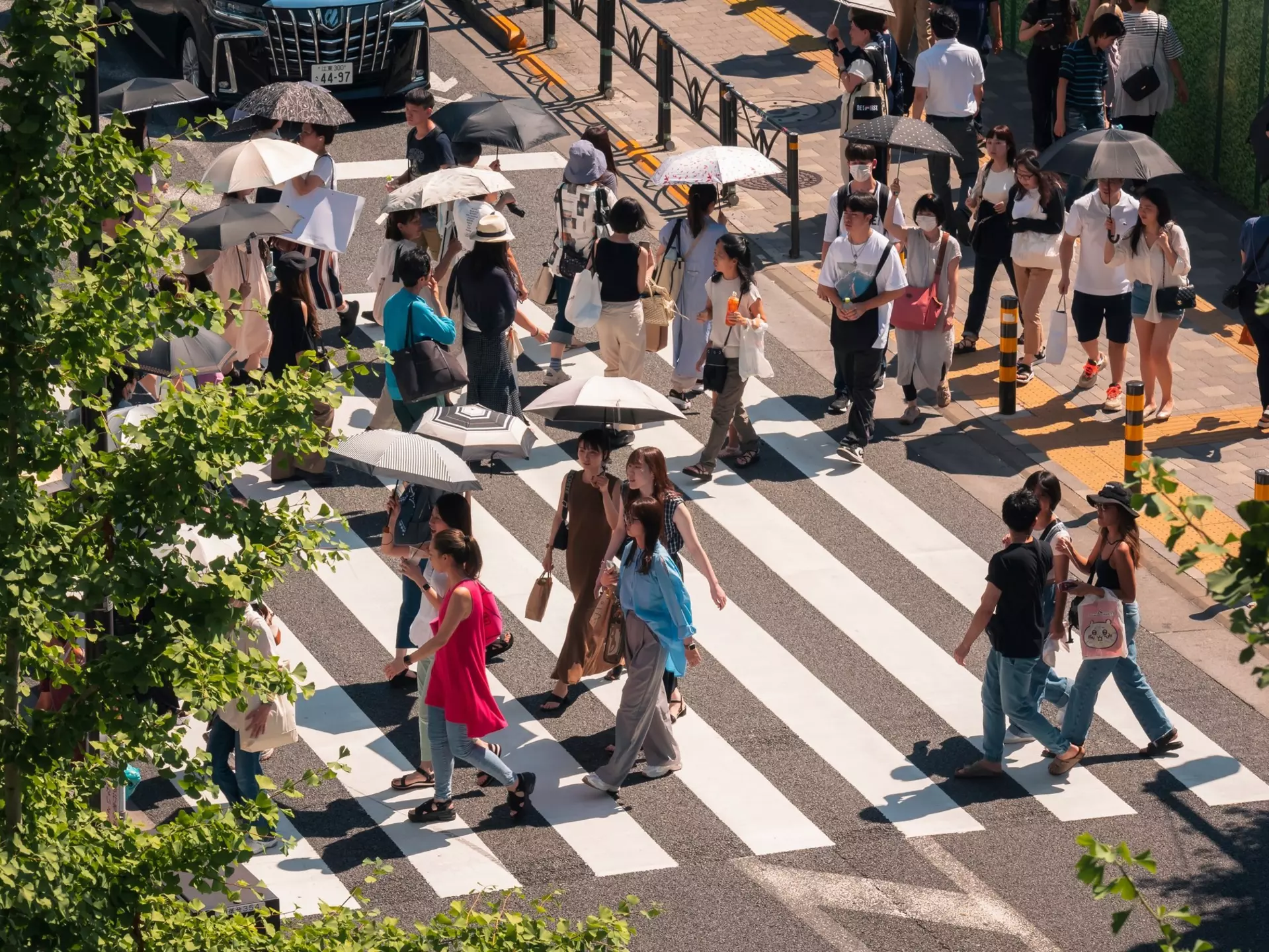 People walking on crosswalk Tokyo city street. Summer season lifestyle in Tokyo, Japan