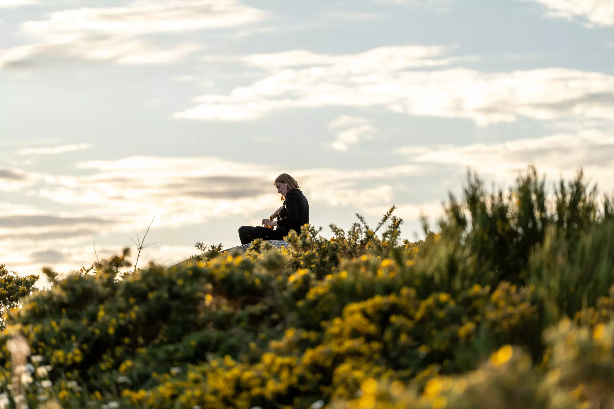 Woman sits in gorse at the edge of a cliff in Finisterre to watch the sunset.