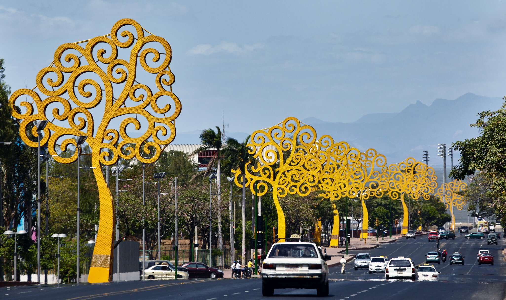 The Bolivar avenue with the trees of life
