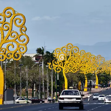 The Bolivar avenue with the trees of life