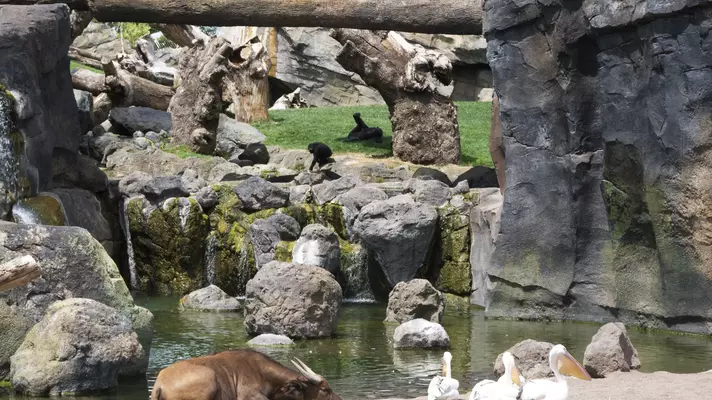 They are immersive places to learn about our planet's biodiversity.