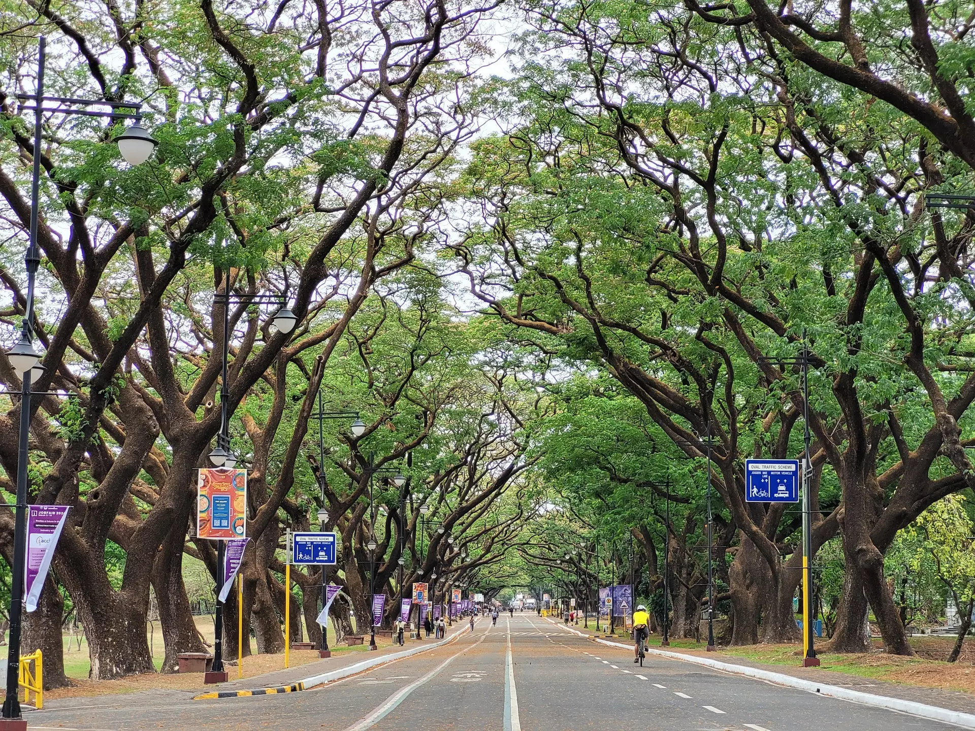 The tree-lined Academic Oval in the UP Diliman campus is a favorite spot for running and biking in Metro Manila © Kara Santos © Kara Santos