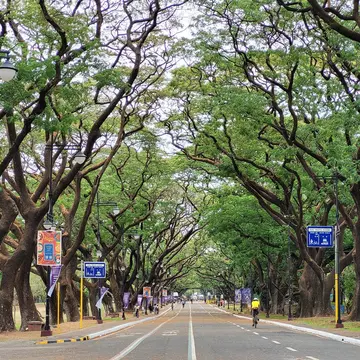 The tree-lined Academic Oval in the UP Diliman campus is a favorite spot for running and biking in Metro Manila © Kara Santos © Kara Santos