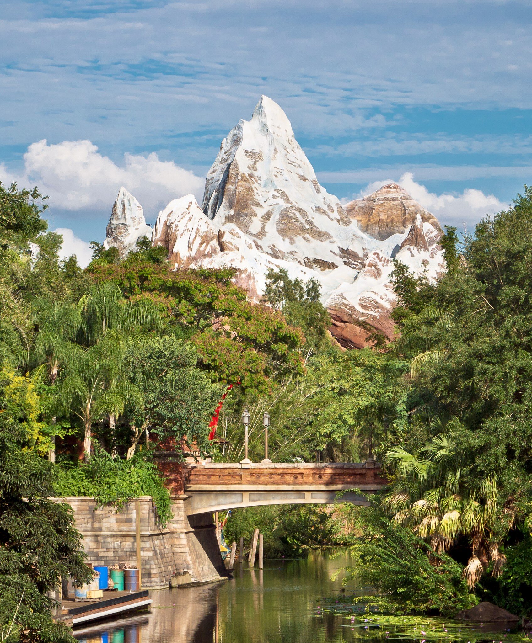 Expedition Everest peak at Walt Disney World® Resort.
Vertical Animal USA Amusement Park Florida - US State Orlando - Florida Photography Lake Buena Vista Disney World Gulf Coast States
