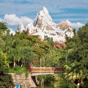 Expedition Everest peak at Walt Disney World® Resort.
Vertical Animal USA Amusement Park Florida - US State Orlando - Florida Photography Lake Buena Vista Disney World Gulf Coast States