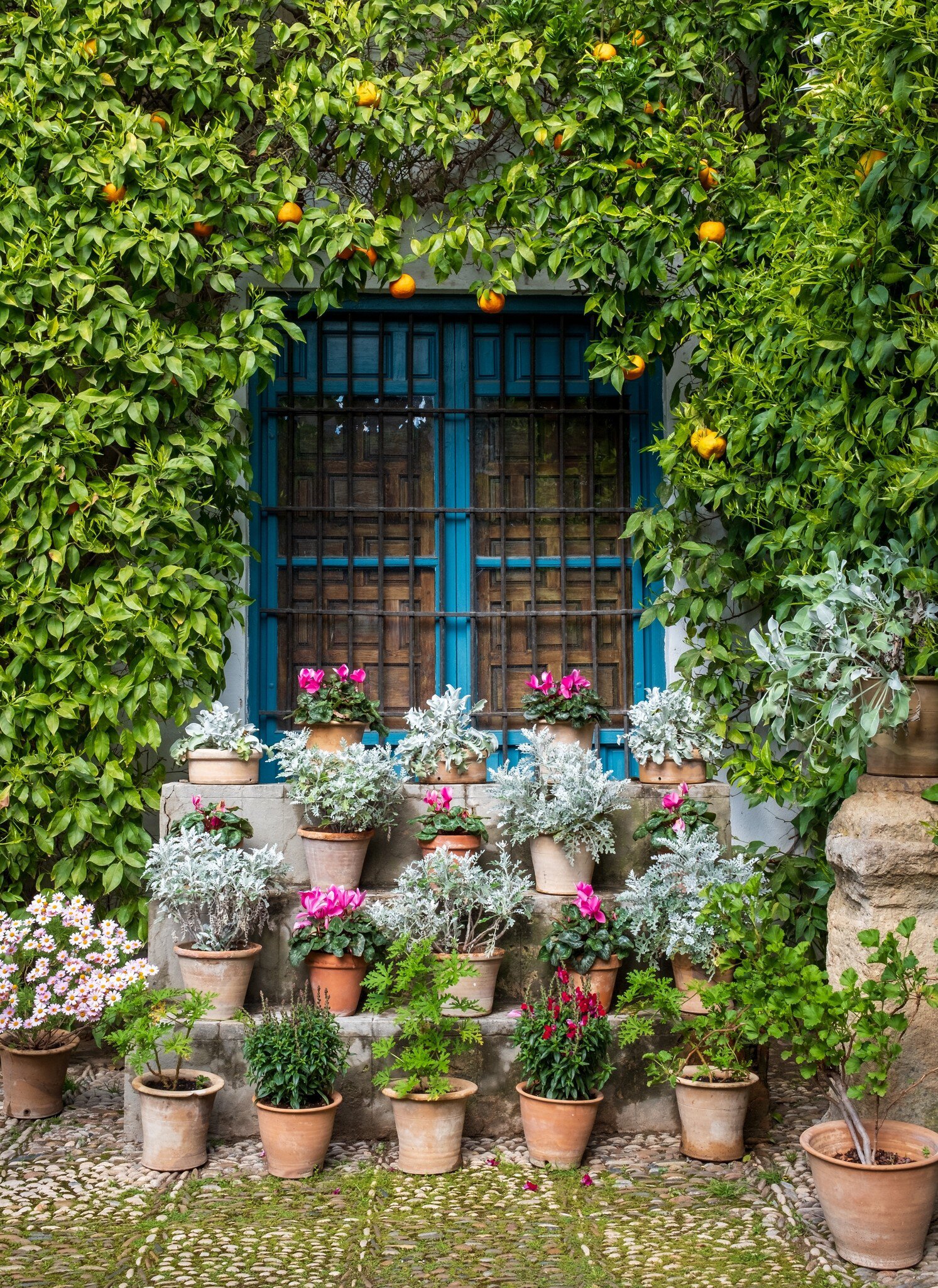 View of colorful flowers in the courtyard patio gardens of Palacio de Viana in Córdoba, Spain.
