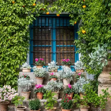 View of colorful flowers in the courtyard patio gardens of Palacio de Viana in Córdoba, Spain.