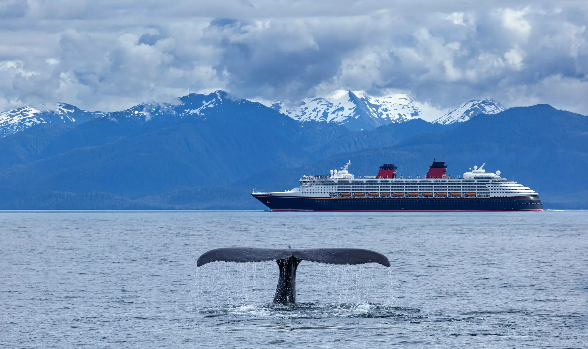 In Alaska, you're certain to be sharing the water with humpback whales, orcas, sea otters, sea lions, and seals © Manamana / Shutterstock