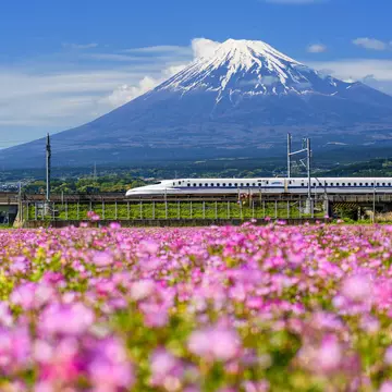 Bullet train passing Mt Fuji. Blanscape/Shutterstock