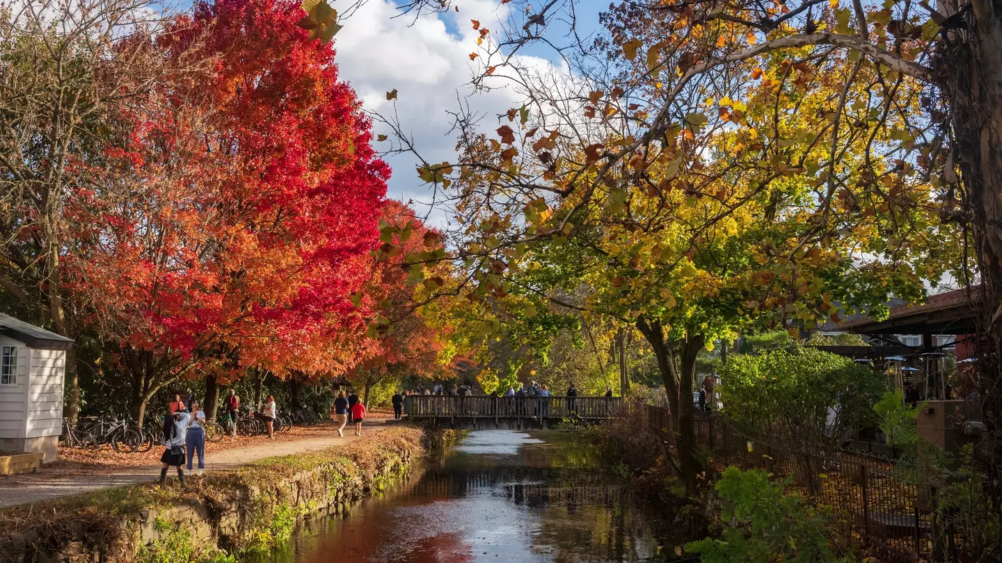 Visitors walk the path of the Delaware Canal Tow Path during a warm fall day as the trees show their autumn foliage. 