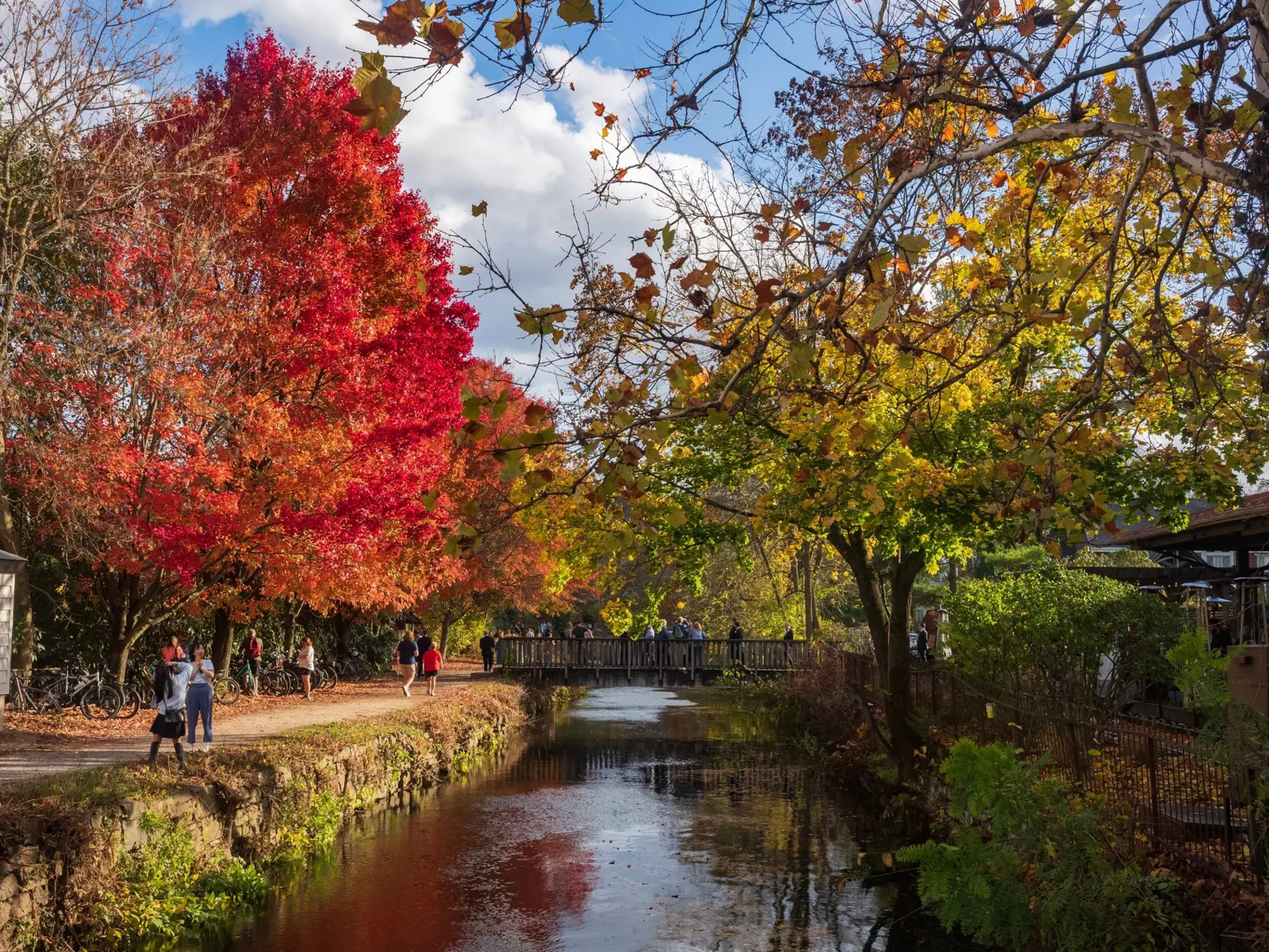 Visitors walk the path of the Delaware Canal Tow Path during a warm fall day as the trees show their autumn foliage. 