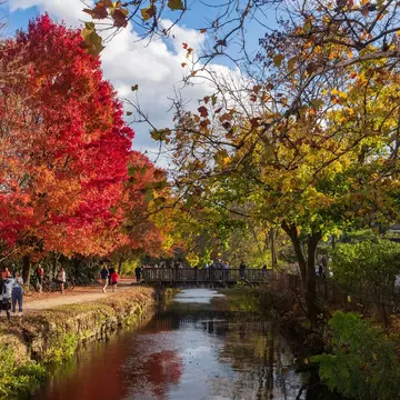 Visitors walk the path of the Delaware Canal Tow Path during a warm fall day as the trees show their autumn foliage. 