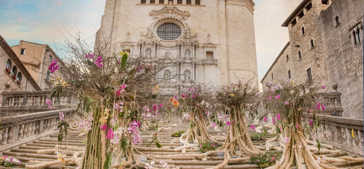 Steps of a cathedral decorated with fake trees and flowers