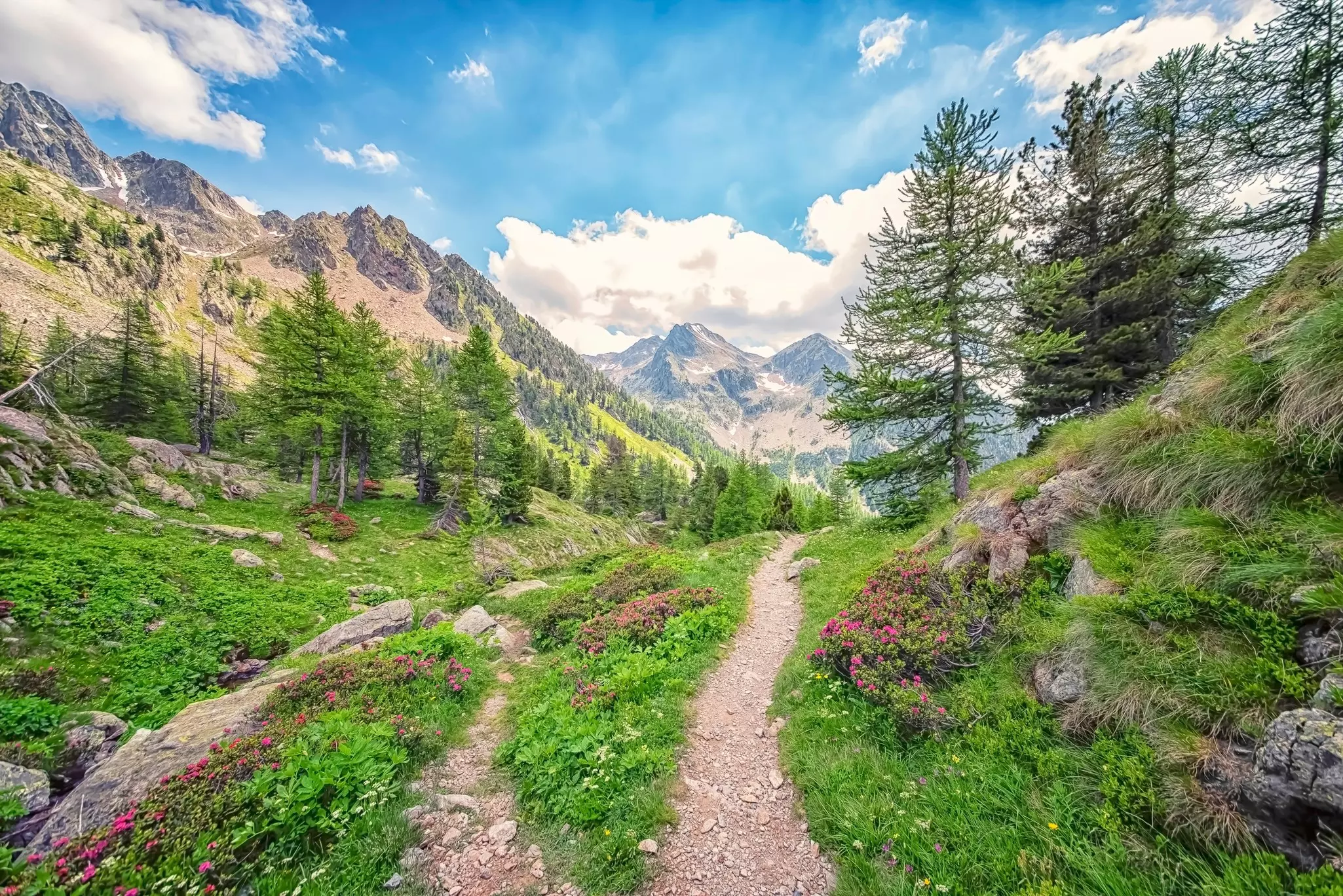 Mercantour National Park in France.