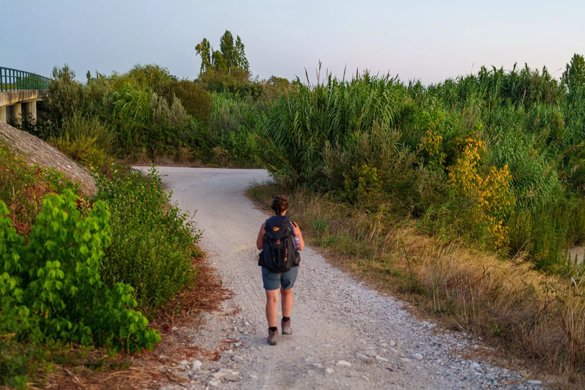 The Portuguese Camino de Santiago