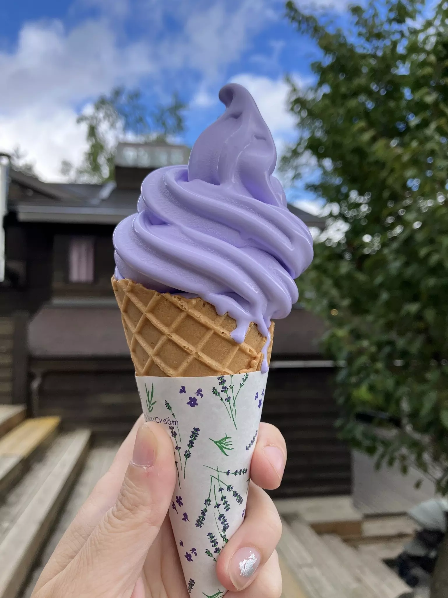 A hand holds out a cone filled with a lilac-covered soft-serve ice cream.