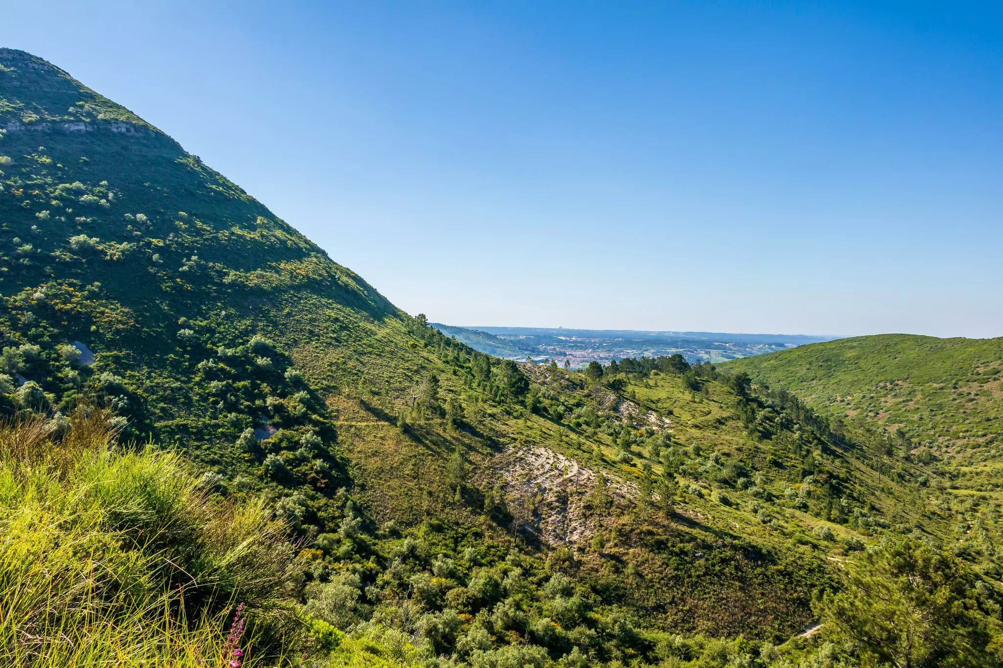 A mountain covered in greenery with hills rolling into the distance