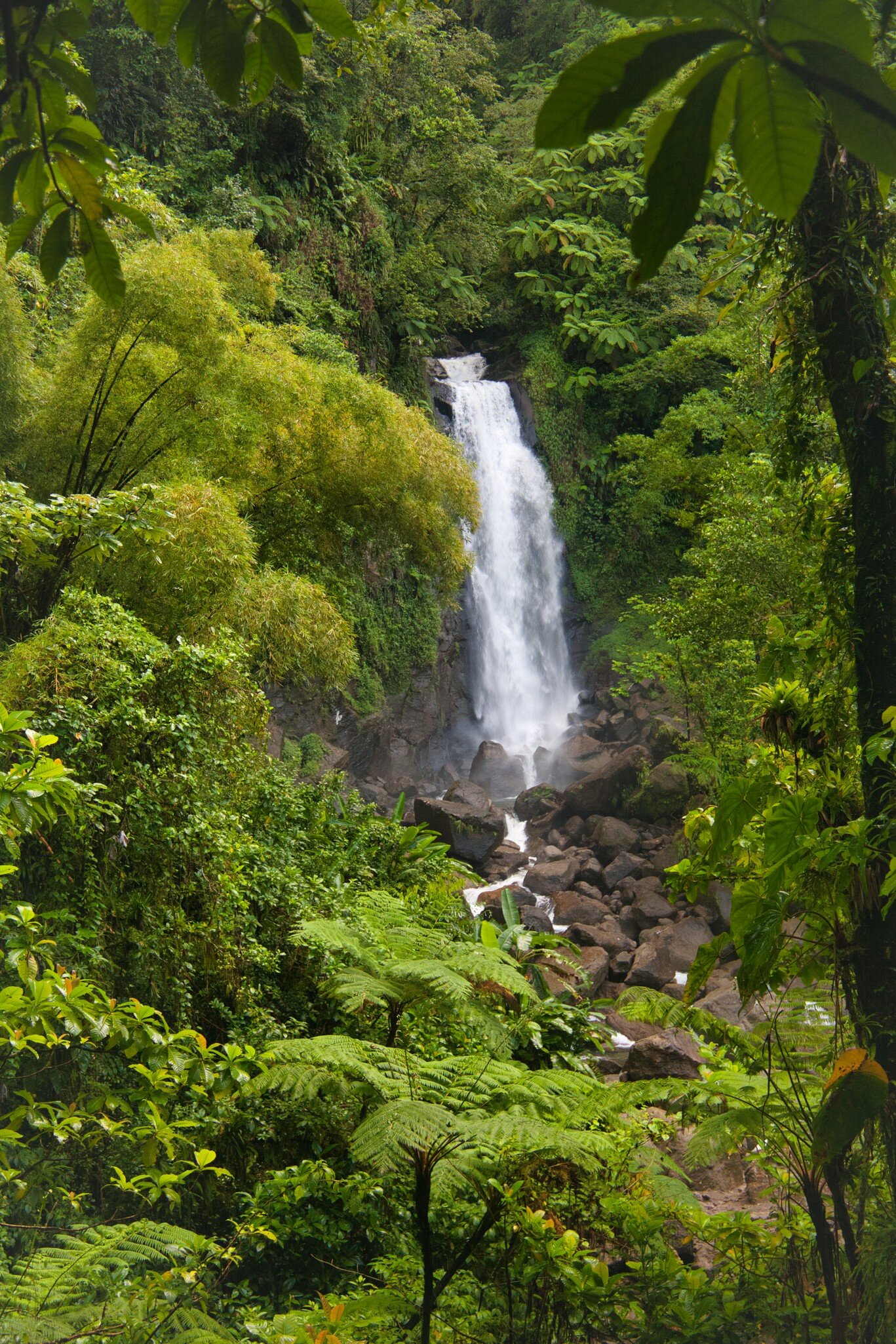 White waterfall dropping through dense green jungle onto a boulder-strewn stream, framed by ferns and leaves