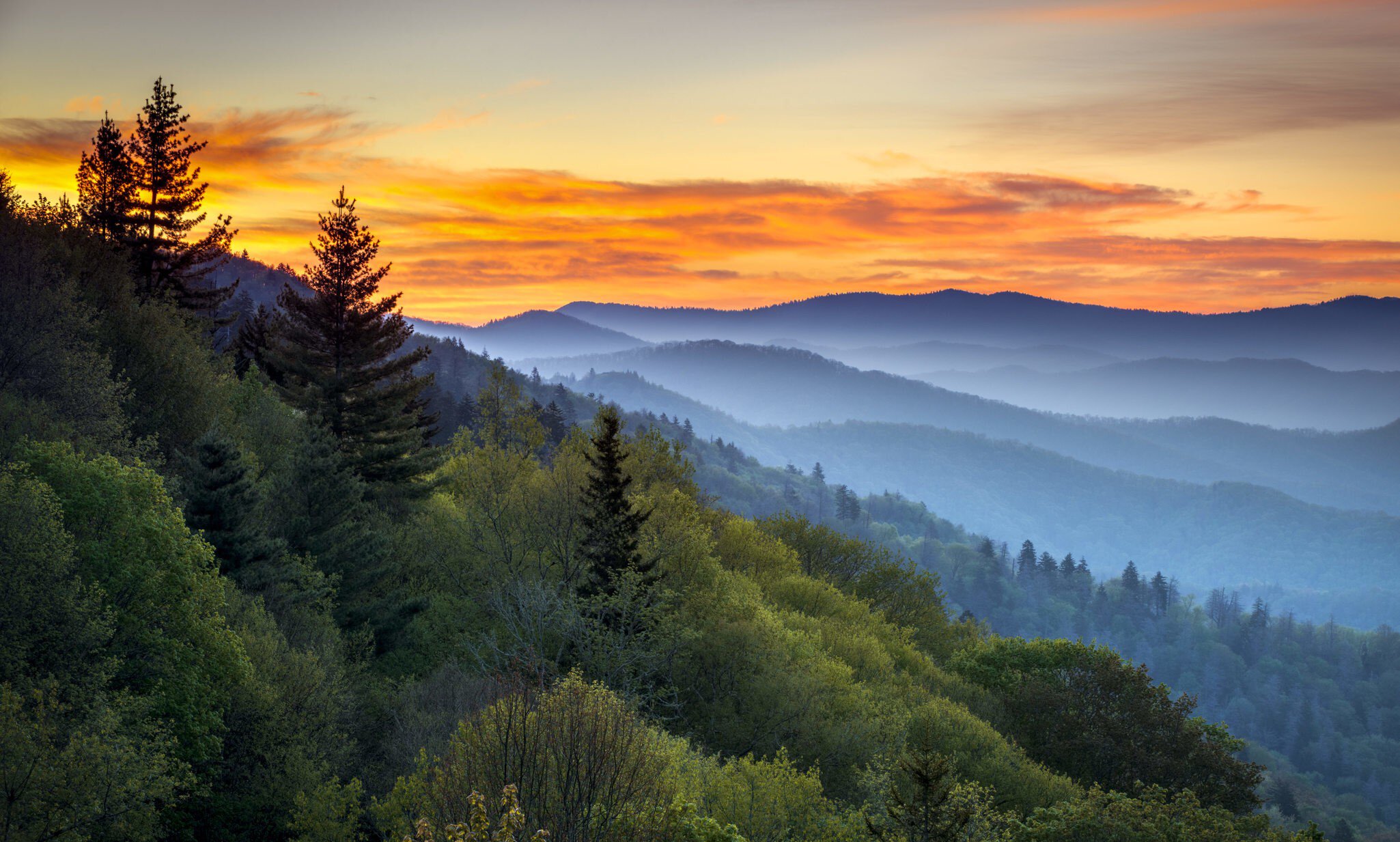 First-timer's guide to Great Smoky Mountains National Park