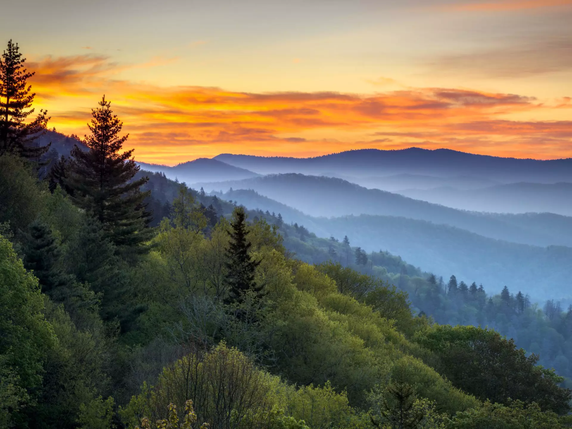 Sunrise over misty hills, as seen from Oconaluftee Overlook in the Great Smoky Mountains National Park.
124204390
tn, nc, usa, wnc, peaks, ridges, layers, valley, scenic, nature, america, sunrise, smokies, morning, outdoors, vacation, tennessee, landscape, horizontal, appalachia, photography, oconaluftee, appalachians, dave allen, cherokee nc, newfound gap, national park, north carolina, gatlingburg tn, travel destination, great smoky mountains, great smoky mountains national park
